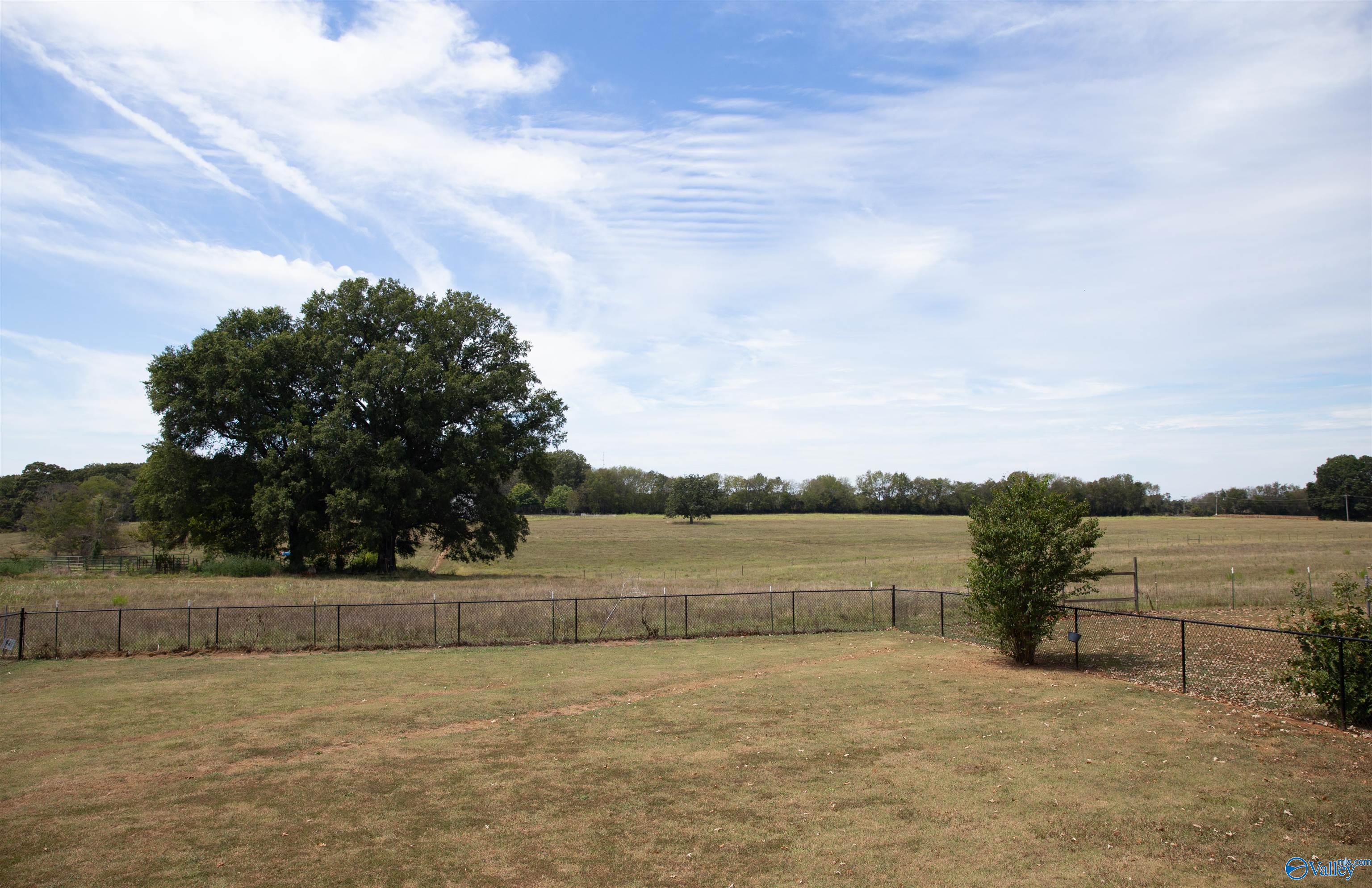 2353 County Road 91, Rogersville, Alabama image 12