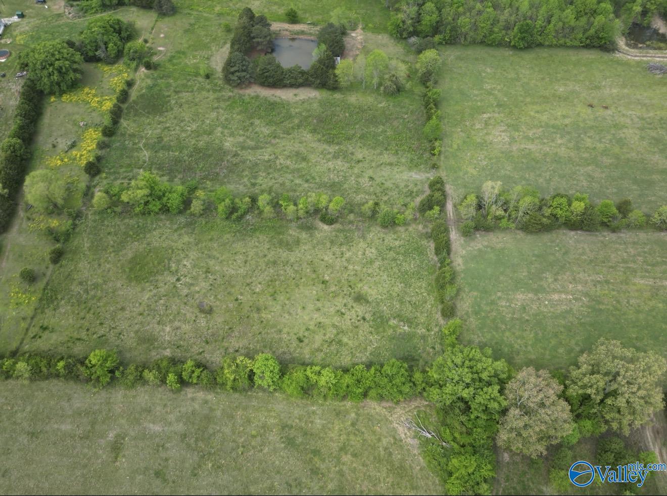 30.7 acres County Road 123