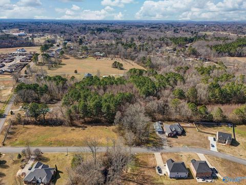 Vacant Land For Sale - LOT 3 Summertree Way<br/> Arab, AL 35016