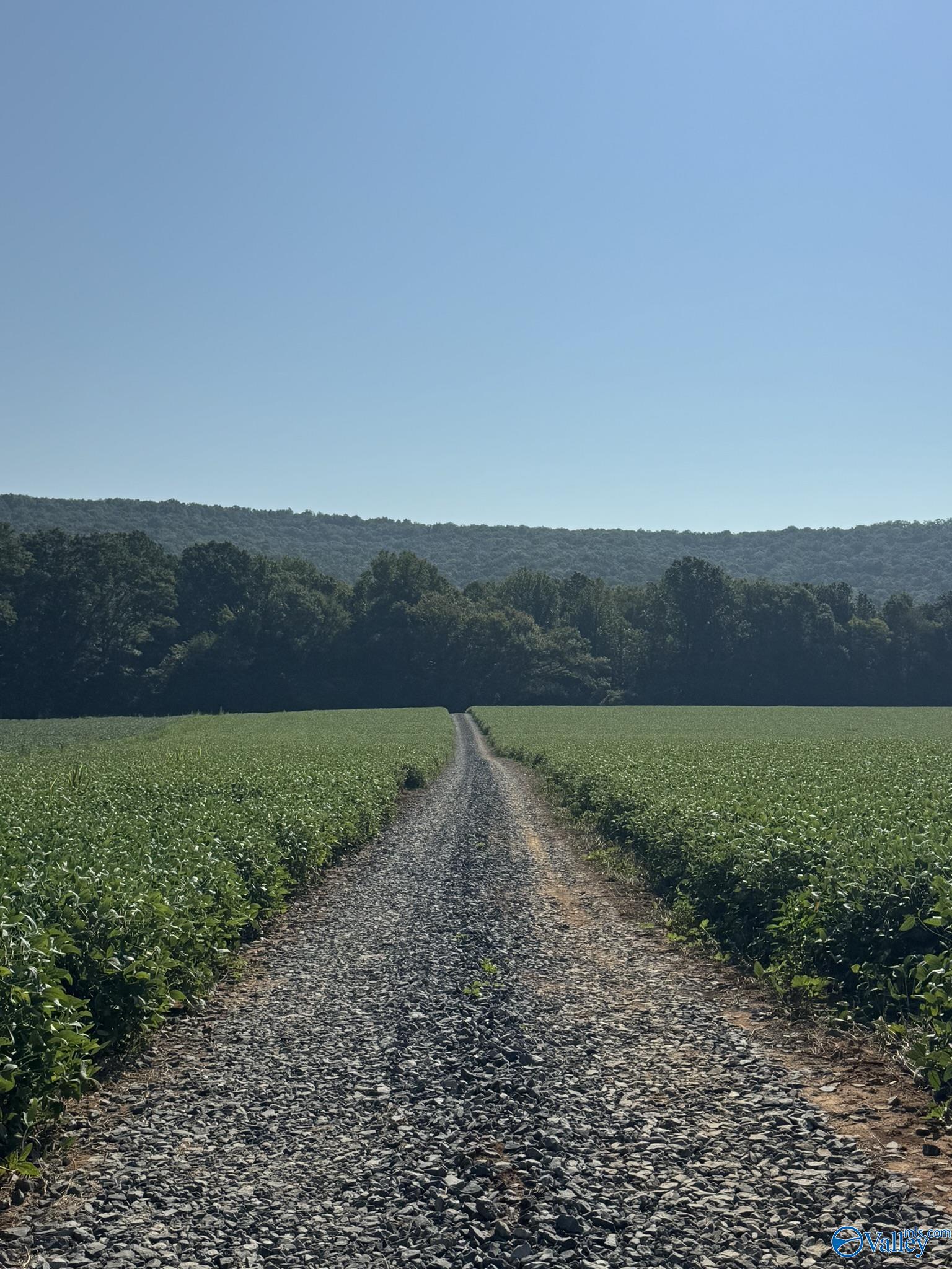 179 Acres Alabama Highway 117, Stevenson, Alabama image 4