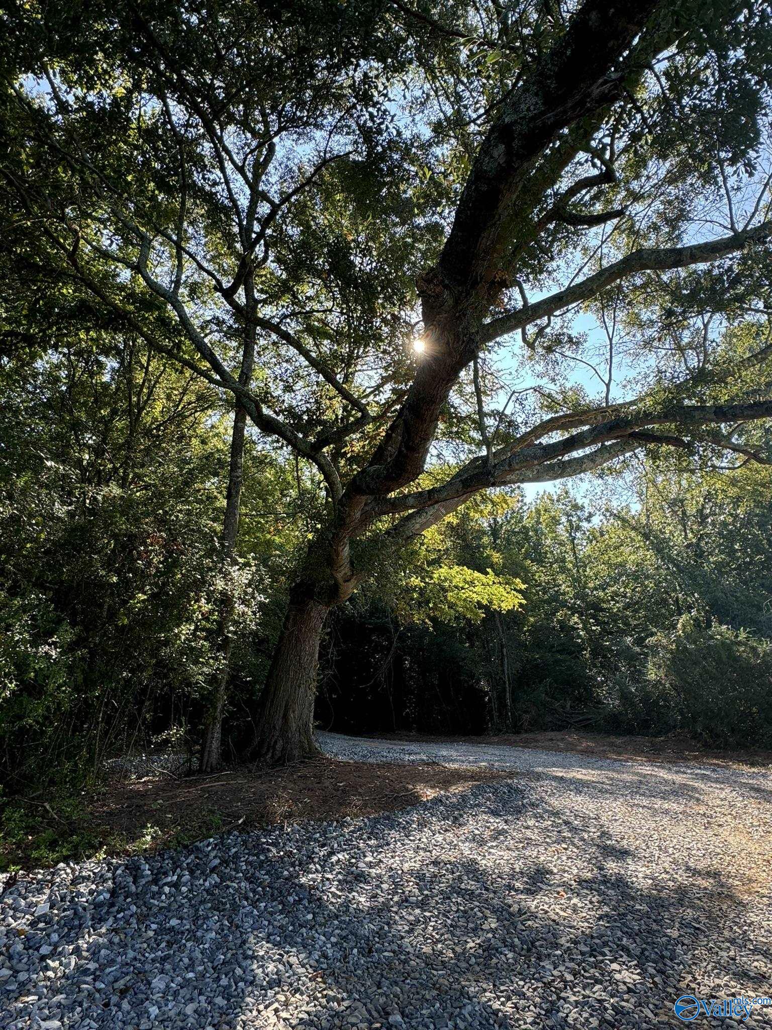 179 Acres Alabama Highway 117, Stevenson, Alabama image 7