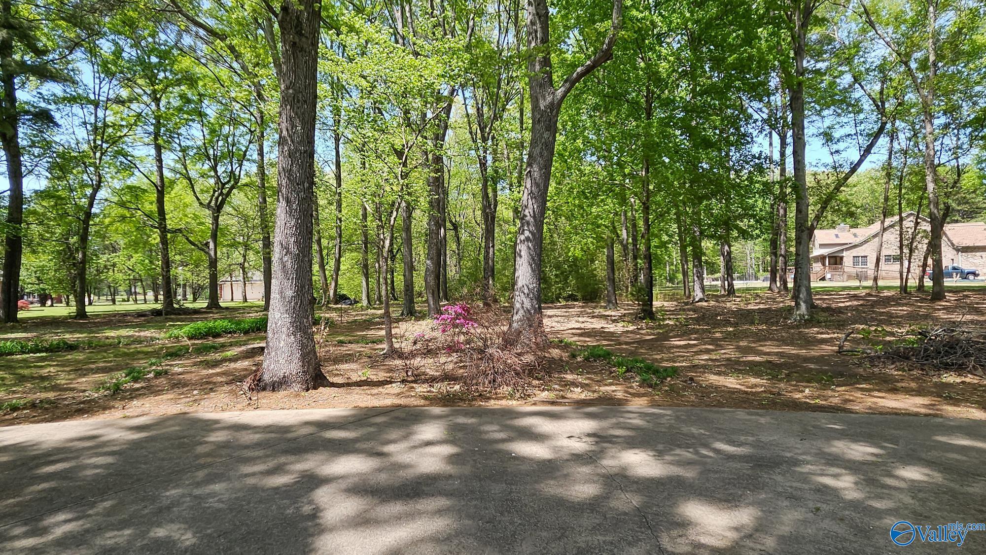 9568 Hawkins Drive, Athens, Alabama image 39