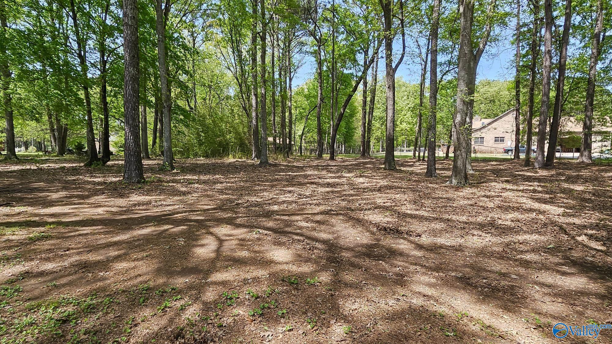 9568 Hawkins Drive, Athens, Alabama image 40
