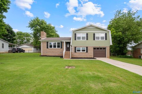 Photo of 103 Mcfarlen Drive, Hazel Green, AL 35750 (MLS # 21919309)