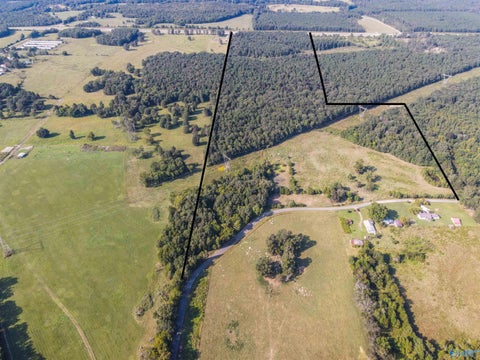 Vacant Land For Sale - 98 ACRES County Road 23<br/> Lawrence County, Mount Hope, AL 35651