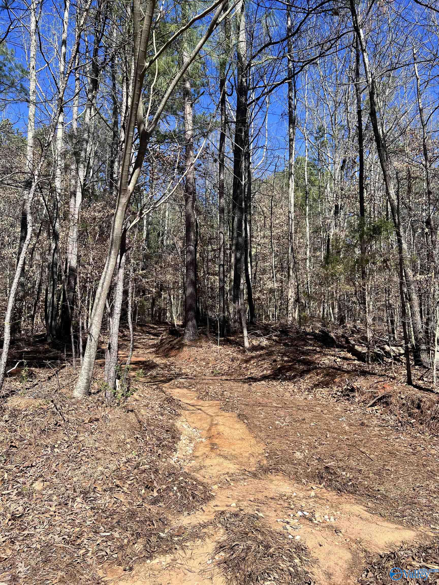 18 Acres Scottsboro Hwy 79, Grant, Alabama image 5