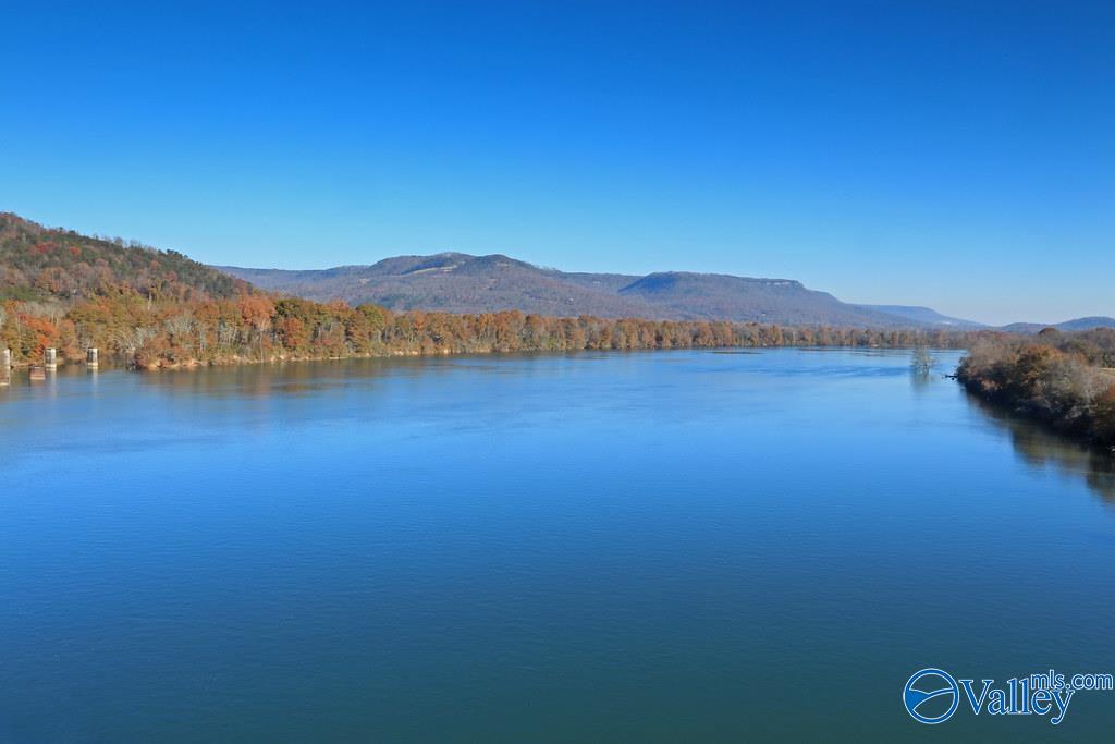 18 Acres Scottsboro Hwy 79, Grant, Alabama image 10