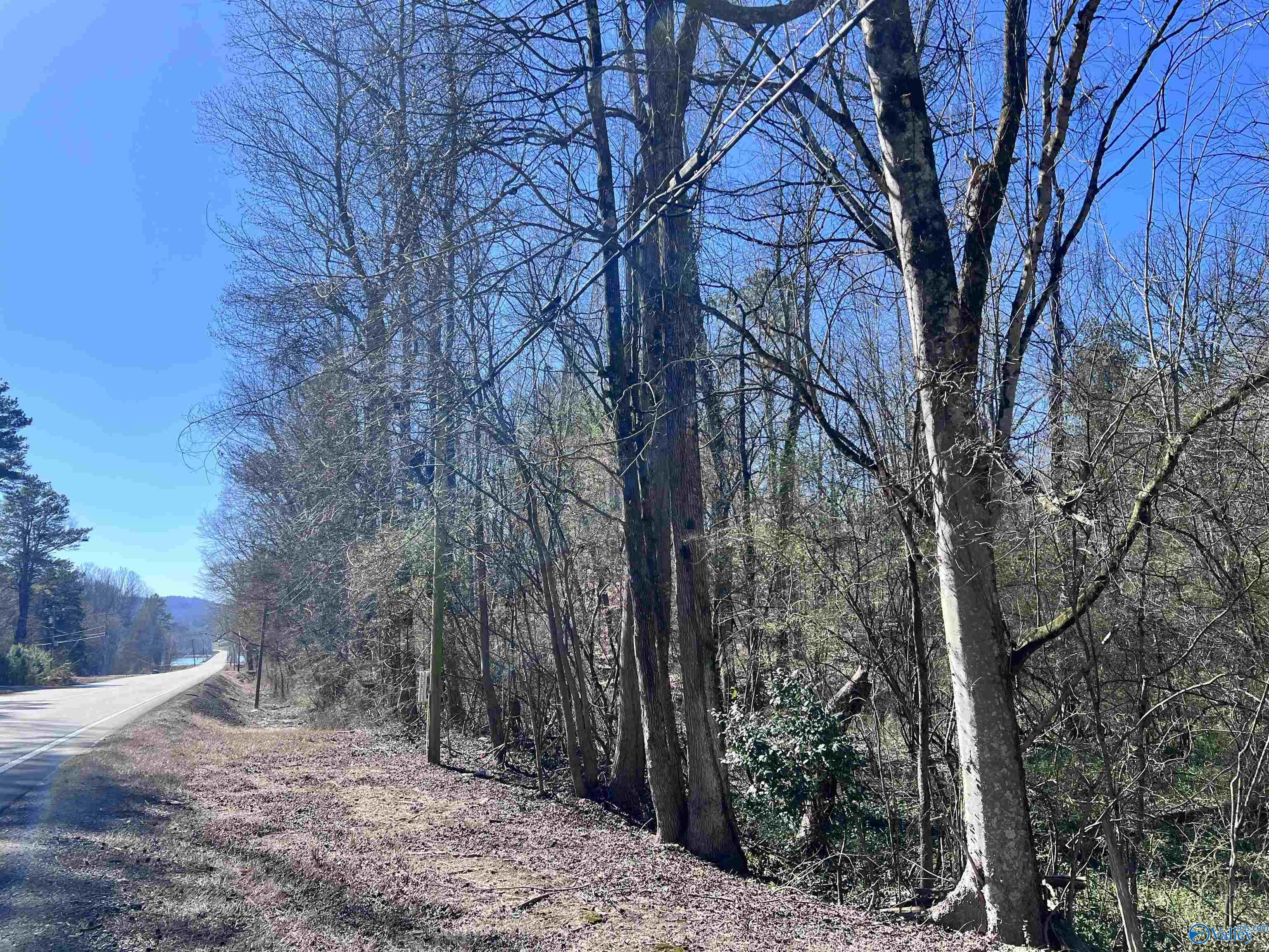 18 Acres Scottsboro Hwy 79, Grant, Alabama image 3