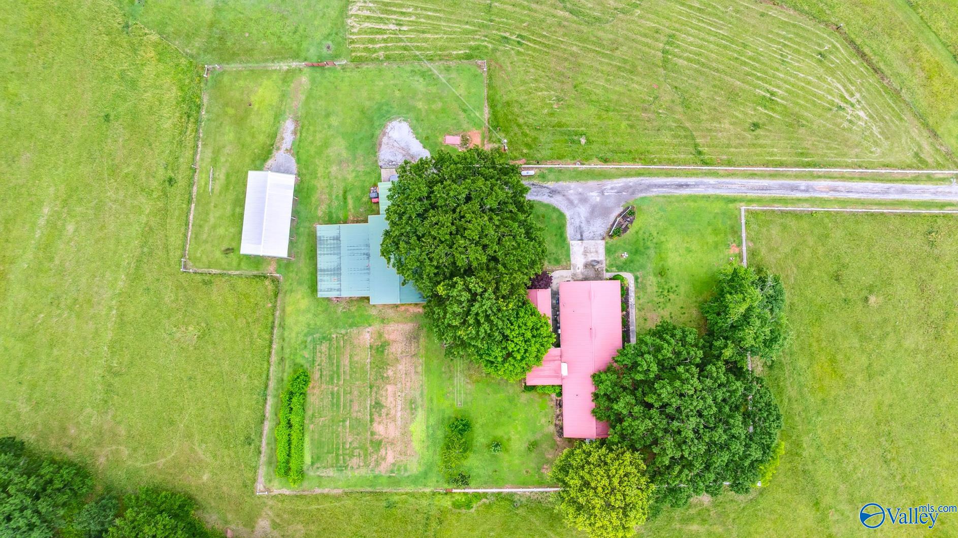 113 Jarrett Road, Hartselle, Alabama image 7