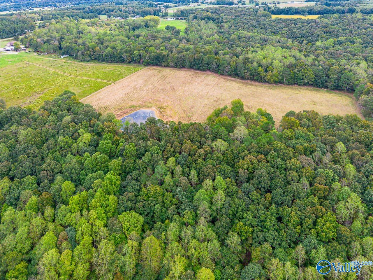 40 Acres Eva Road, Falkville, Alabama image 7