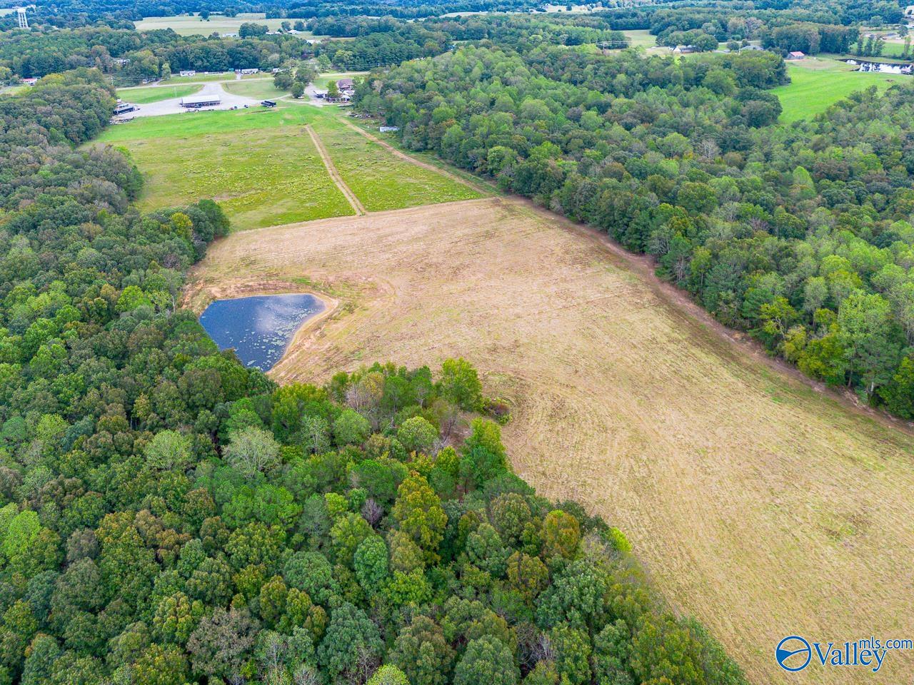 40 Acres Eva Road, Falkville, Alabama image 2