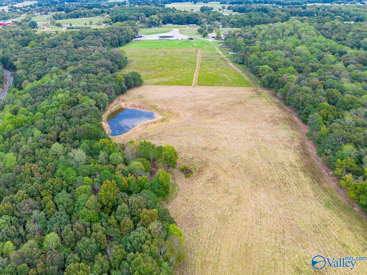 40 Acres Eva Road, Falkville, Alabama image 8