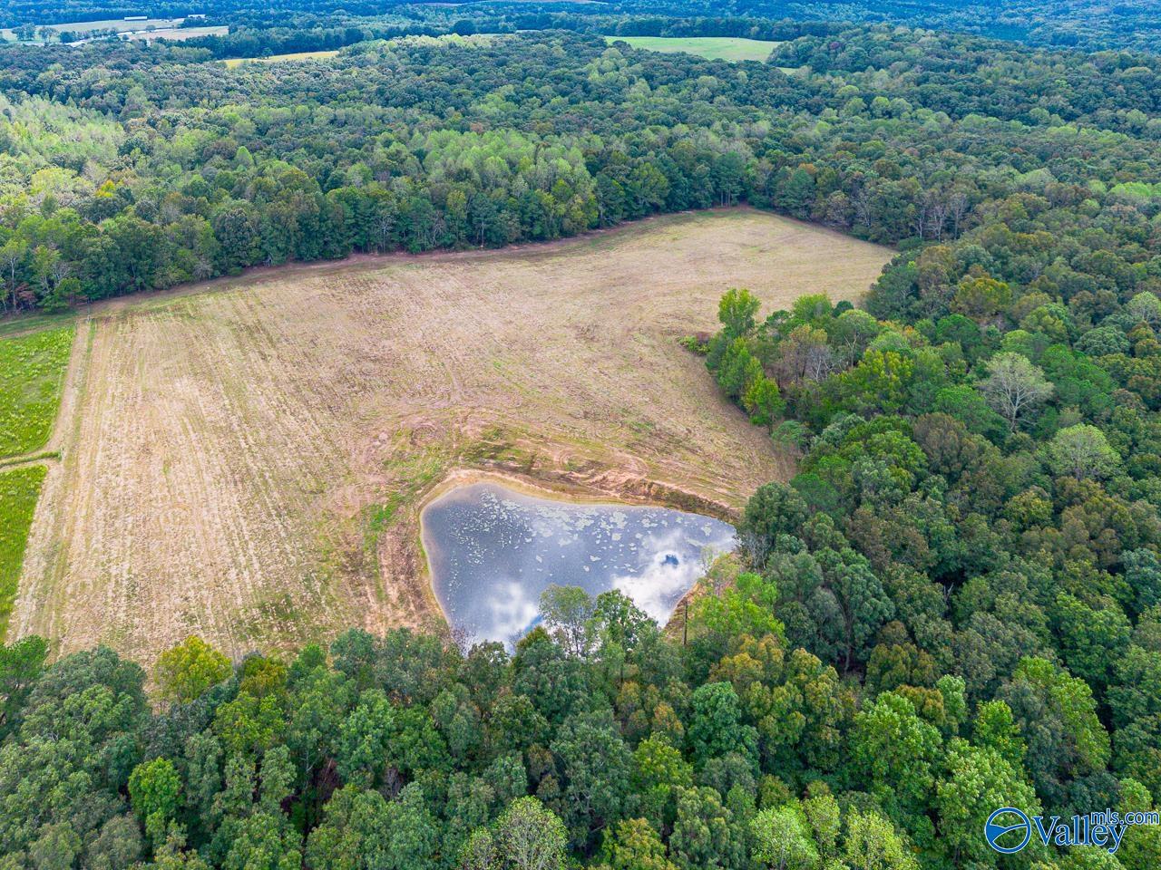 40 Acres Eva Road, Falkville, Alabama image 1