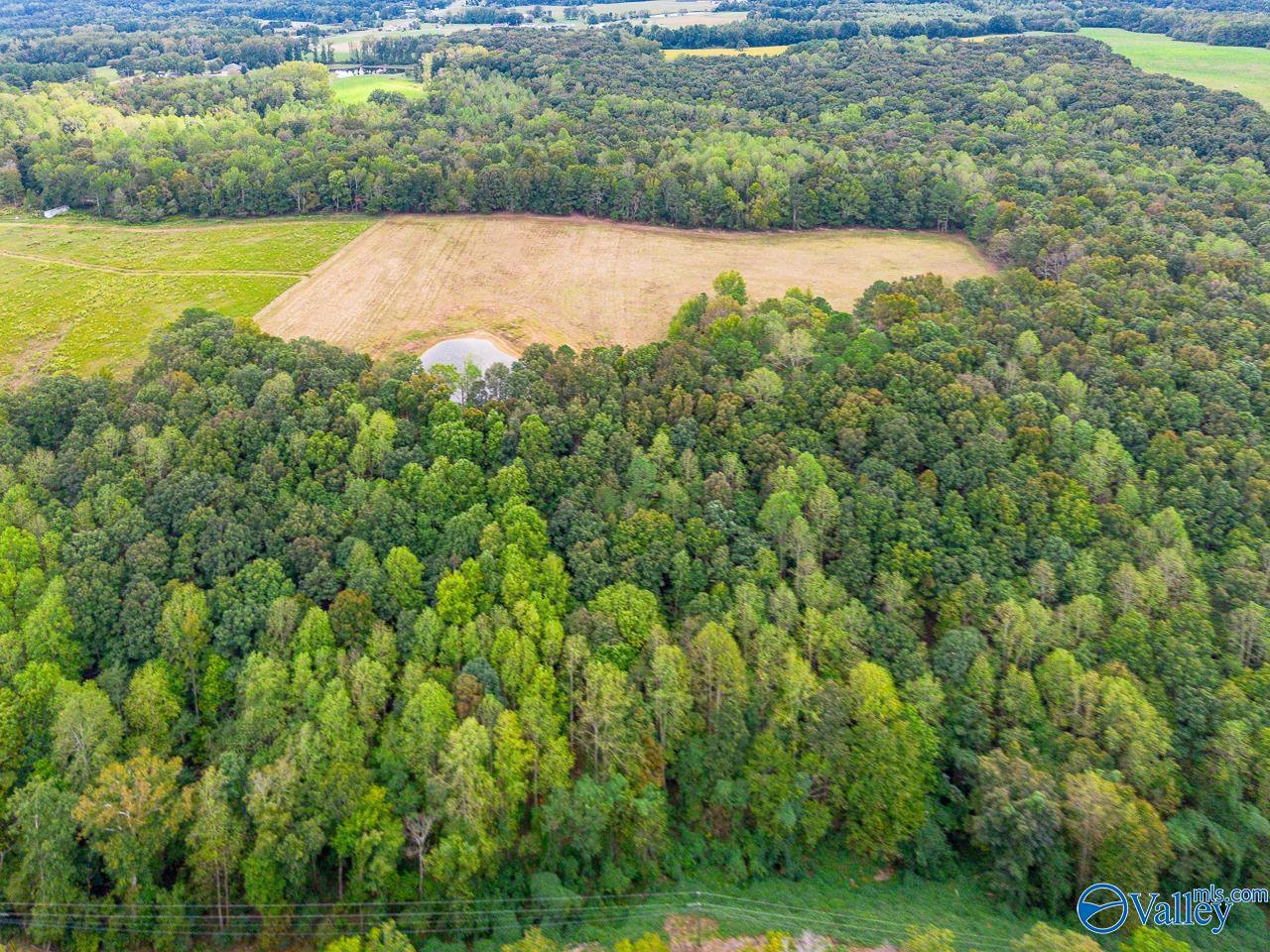 40 Acres Eva Road, Falkville, Alabama image 3