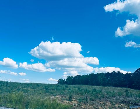 Vacant Land For Sale - 56 County Road 1171 #LOT 3<br/> Cullman County, Cullman, AL 35057