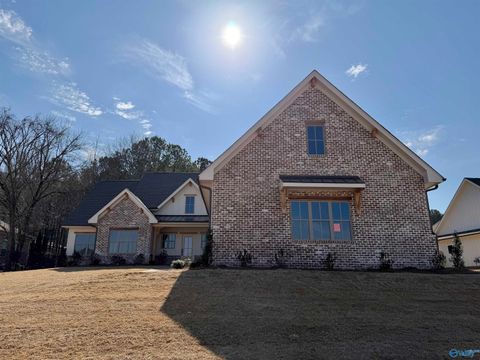 Homes For Sale - 317 Lake Creek Drive<br/> Guntersville, AL 35976