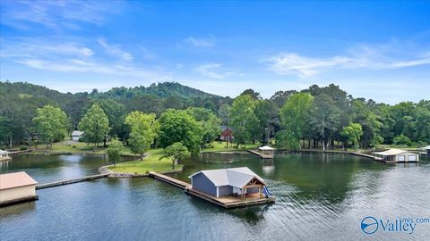 Homes For Sale - 1788 Lakeshore Drive<br/> Langston, AL 35755