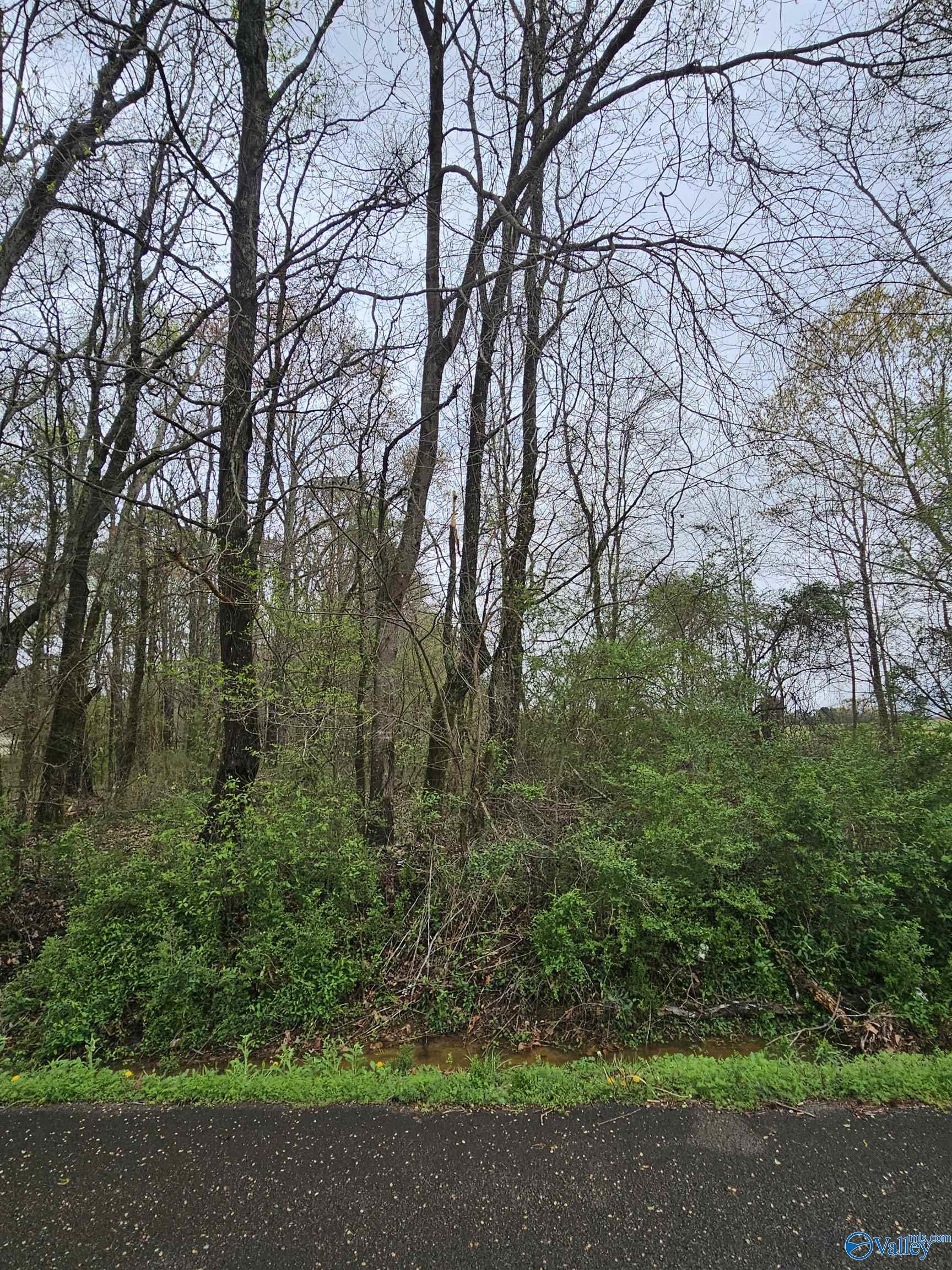 Lot 18 Treva Lane, Hazel Green, Alabama image 2