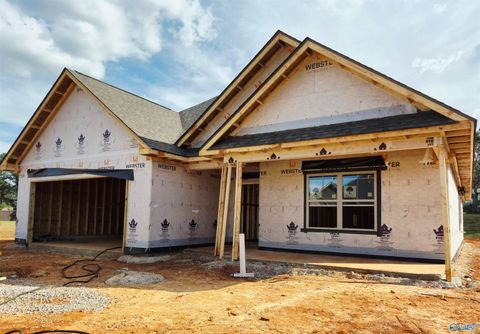 Photo of 114 Alton Dale Drive, Toney, AL 35773 (MLS # 21900782)