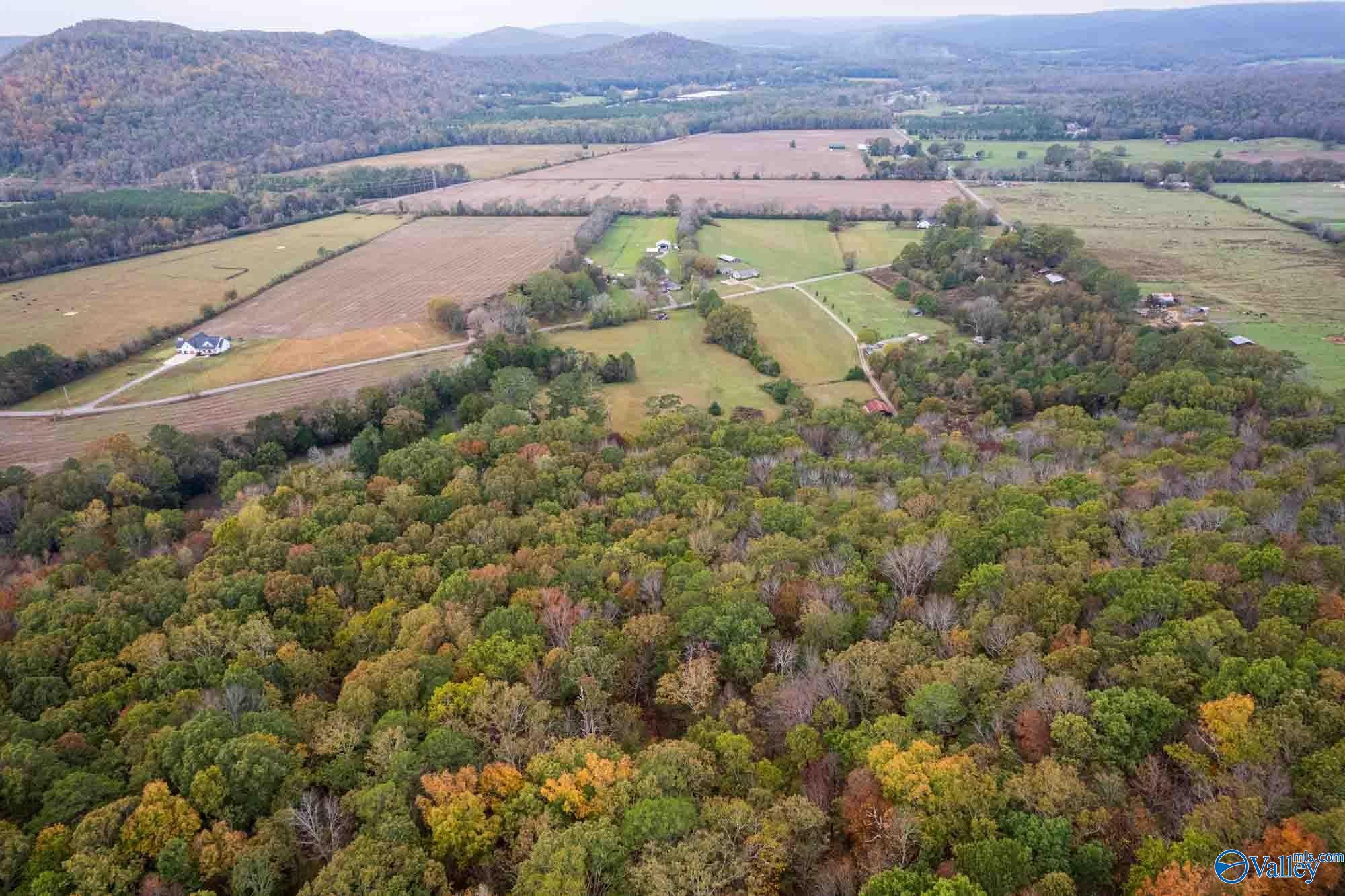 44 Ac Old Larkinsville Road, Scottsboro, Alabama image 8