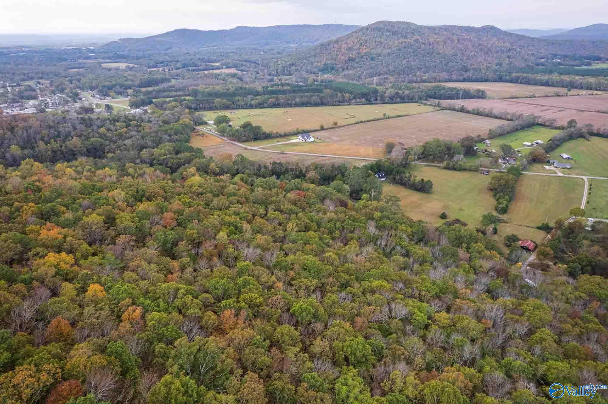 44 Ac Old Larkinsville Road, Scottsboro, Alabama image 9