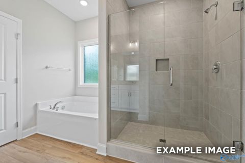 Homes For Sale - 101 Drupelet Lane<br/> Meridianville, AL 35759