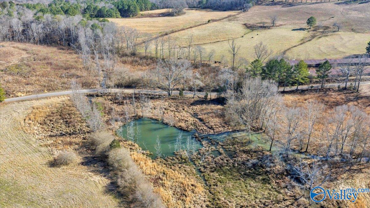 95 County Road 970
