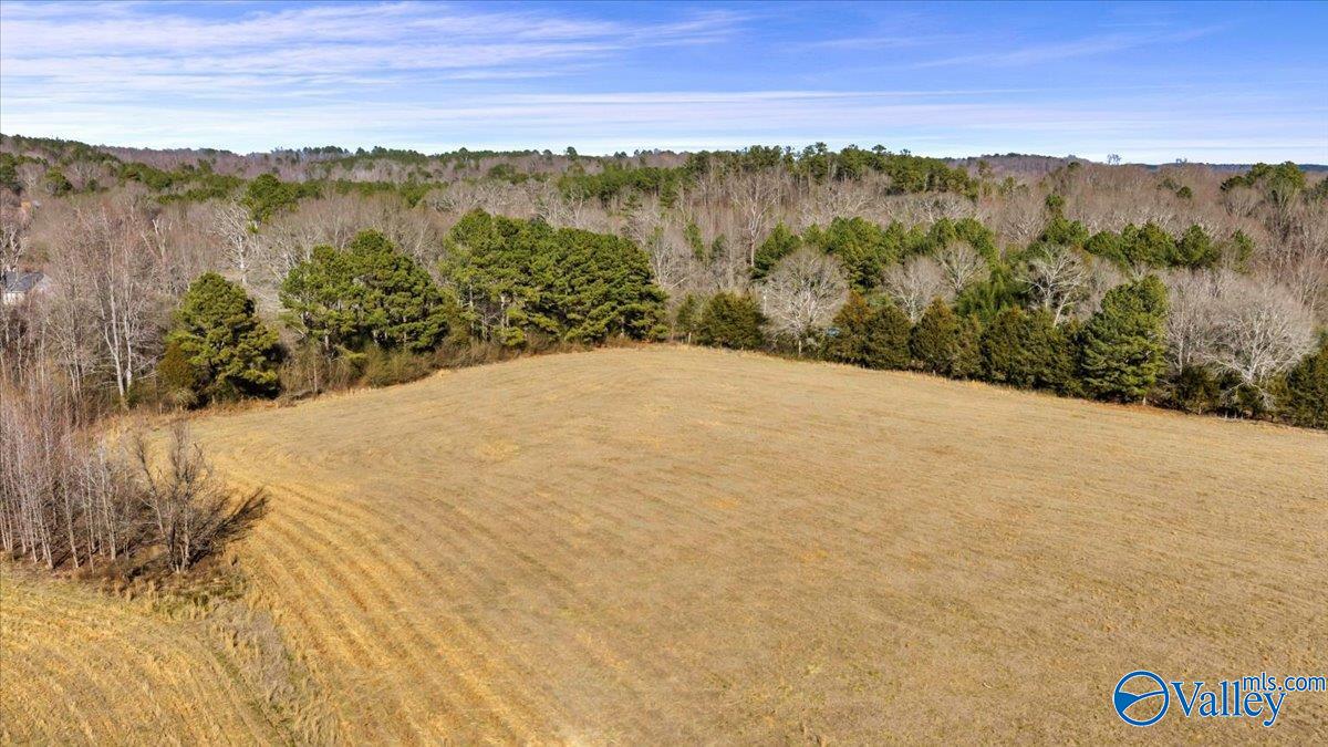 95 County Road 970