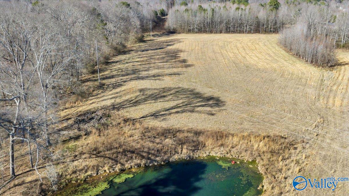 95 County Road 970