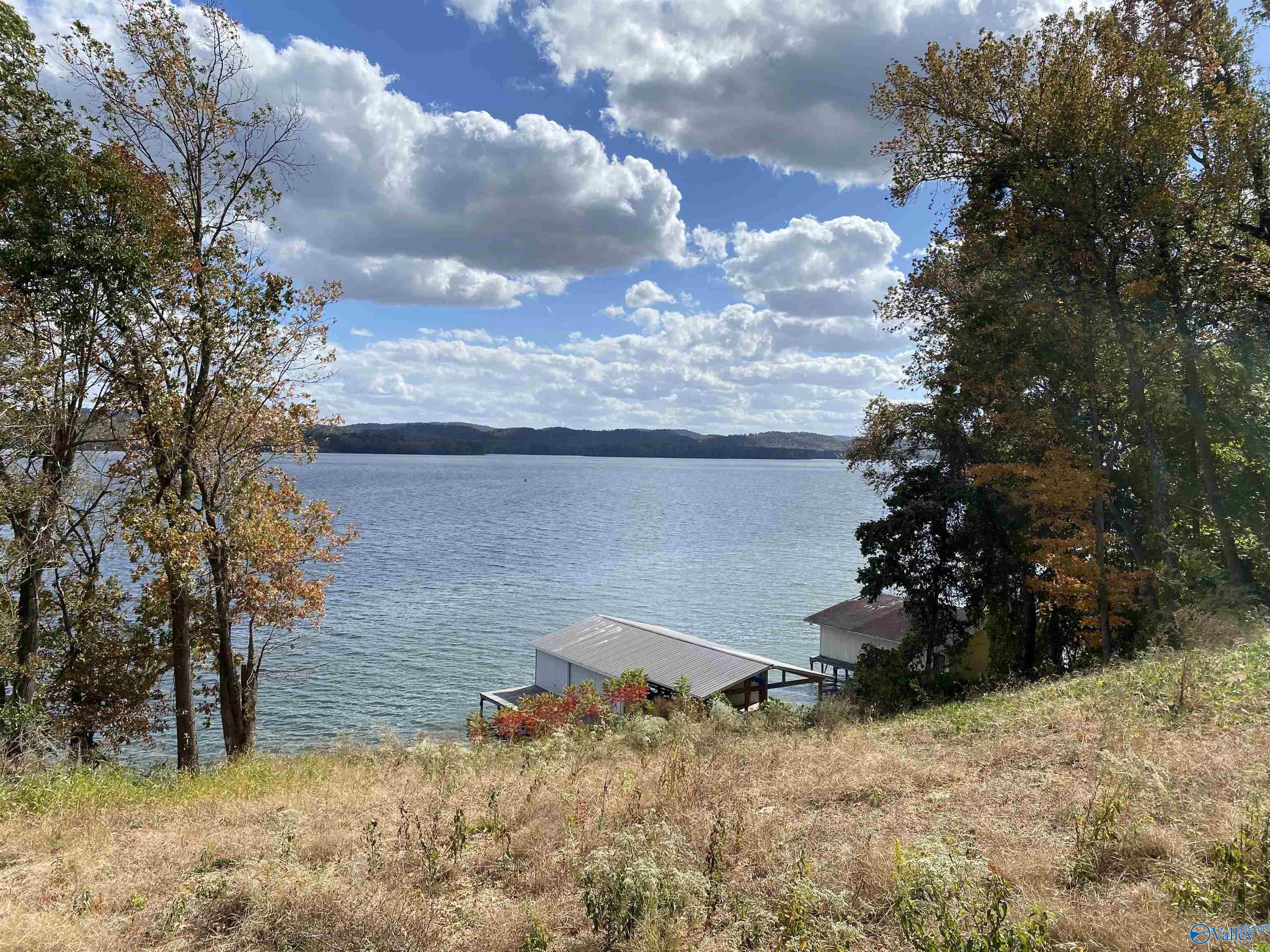 LOT 33 Pine Island Point, Scottsboro, Alabama image 4