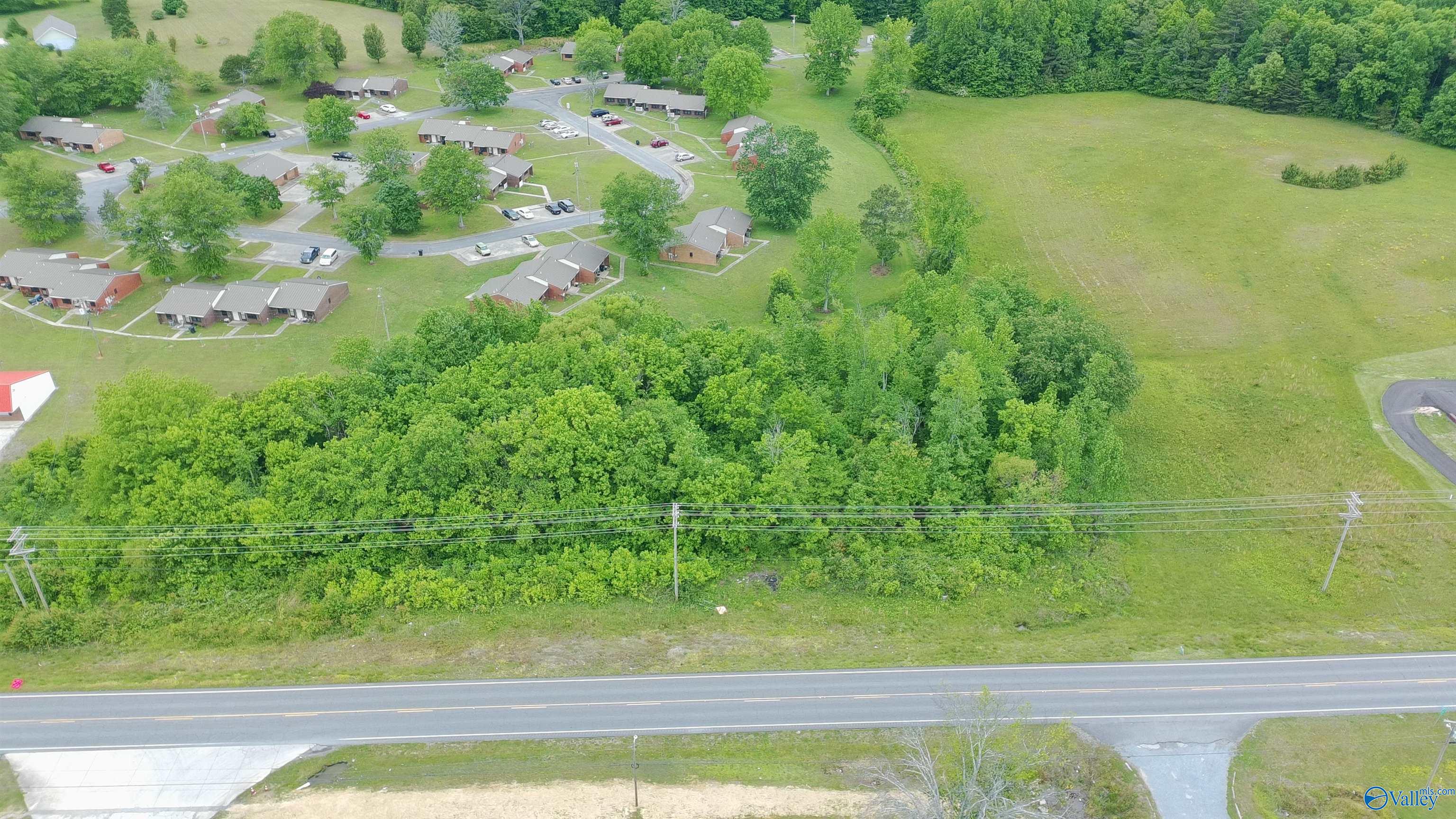 2.44 AC Alabama Highway 75 - Photo 3