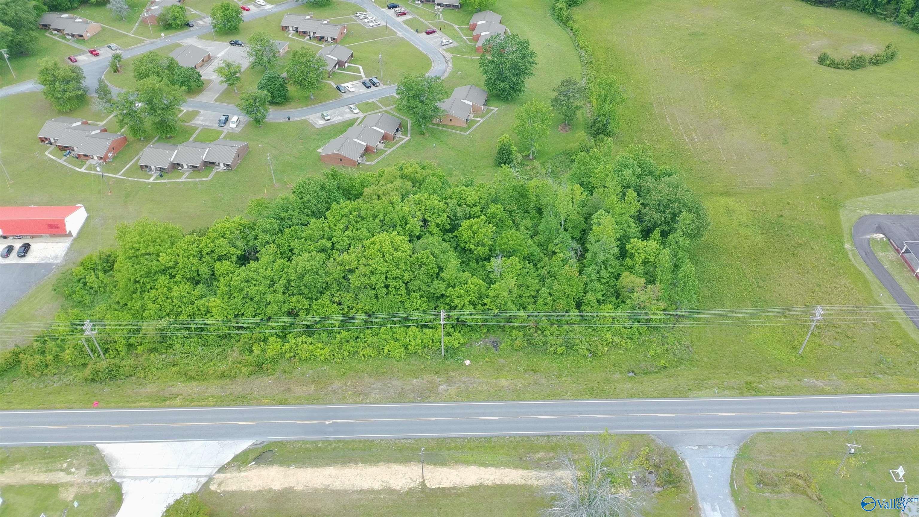 2.44 AC Alabama Highway 75 - Photo 2