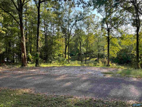 Vacant Land For Sale - LOTS 122 & 123 River Drive<br/> Hollywood, AL 35752