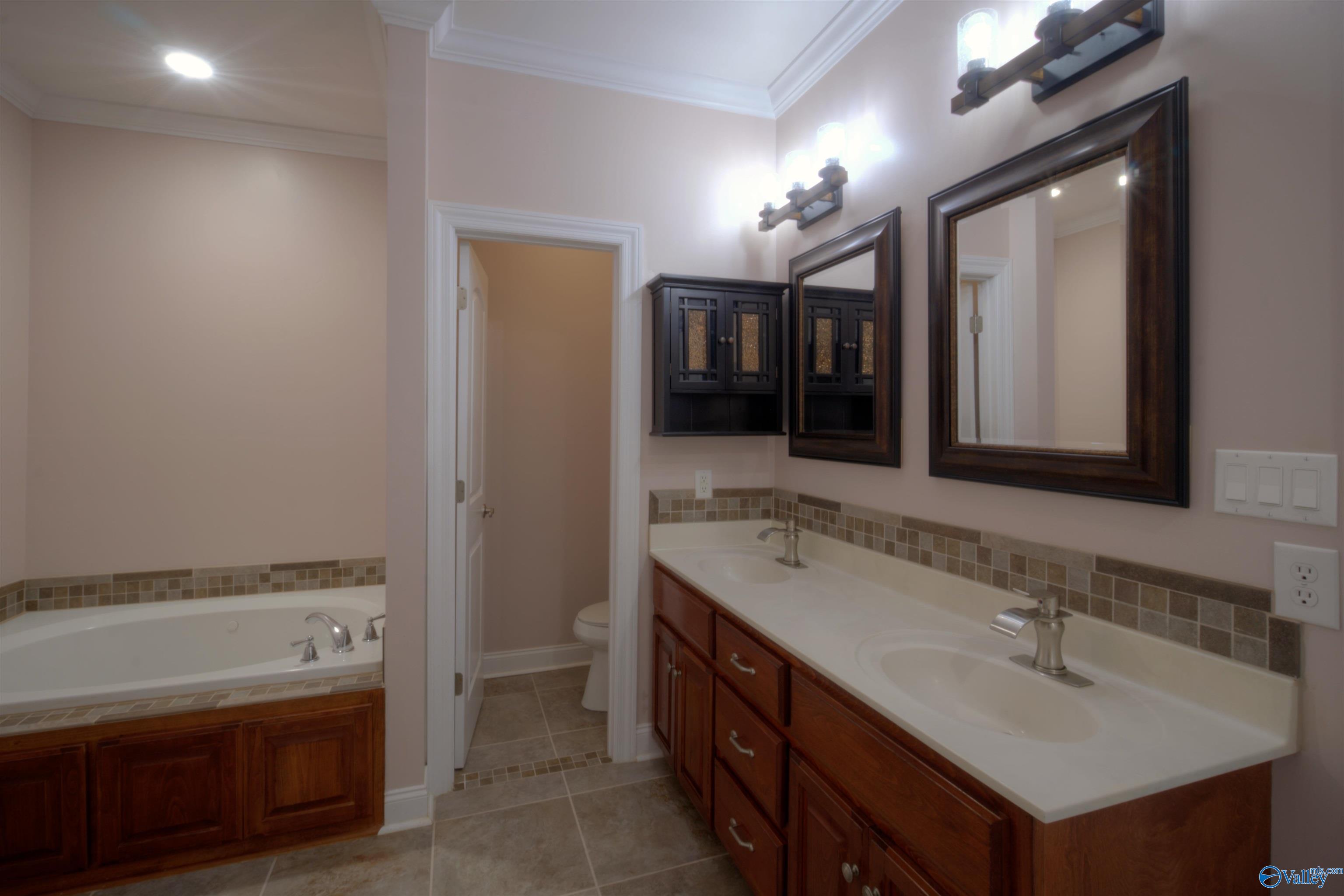 25739 Iron Gate Drive, Madison, Alabama image 15
