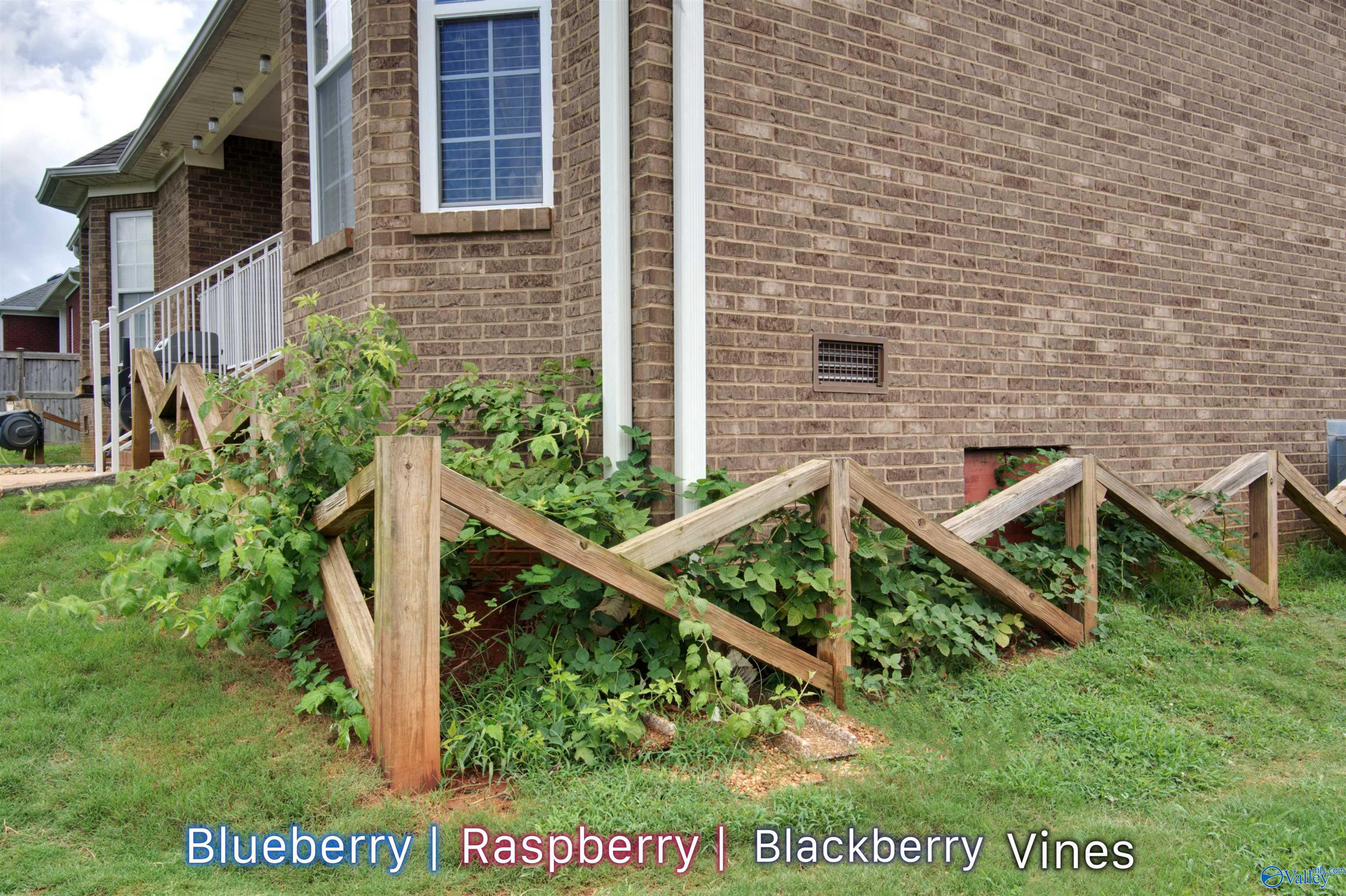 25739 Iron Gate Drive, Madison, Alabama image 32