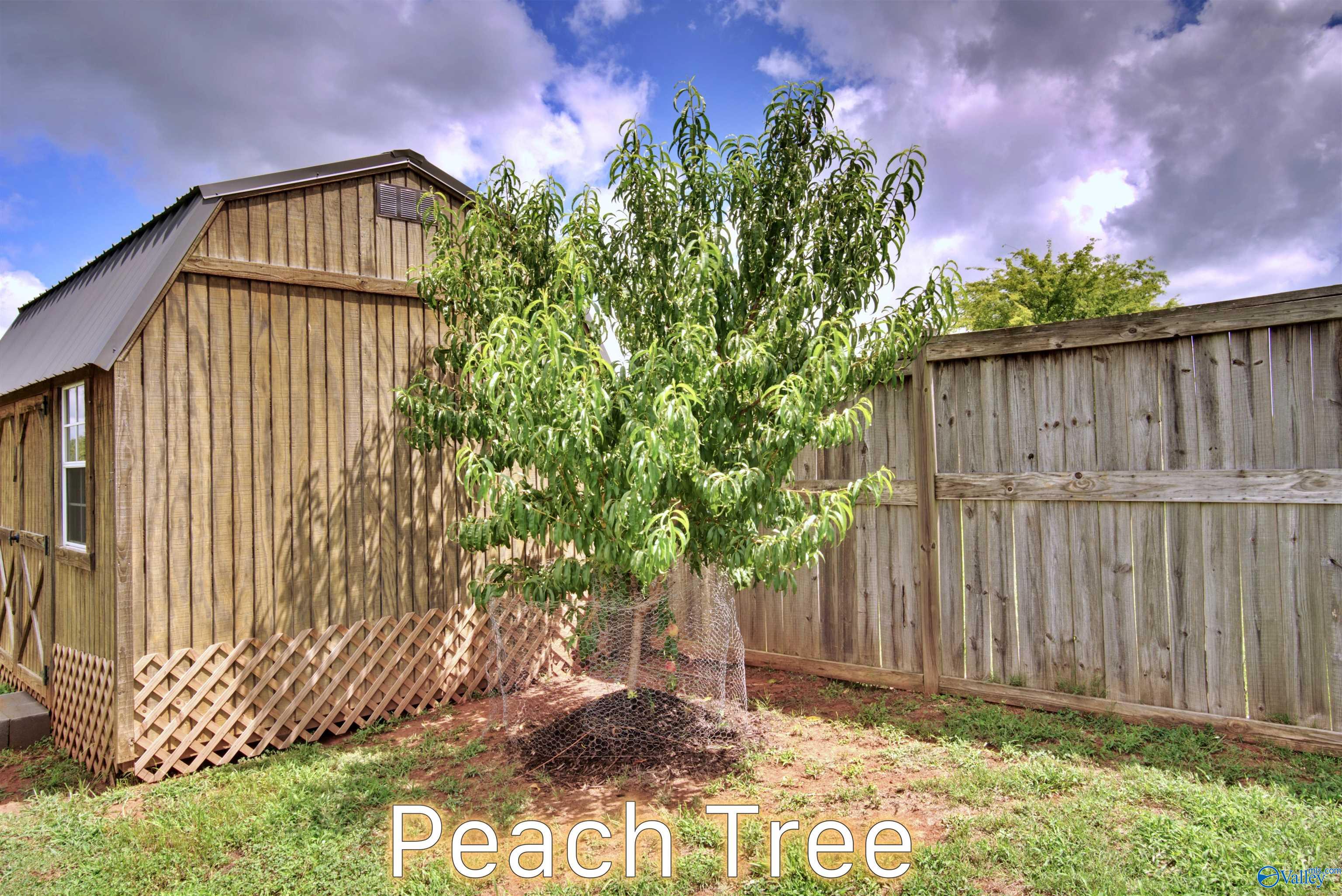 25739 Iron Gate Drive, Madison, Alabama image 33