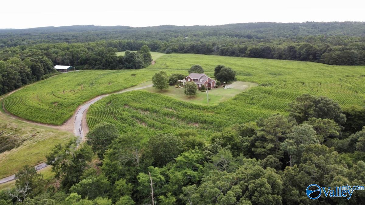 3895 County Road 1, Collinsville, Alabama image 46