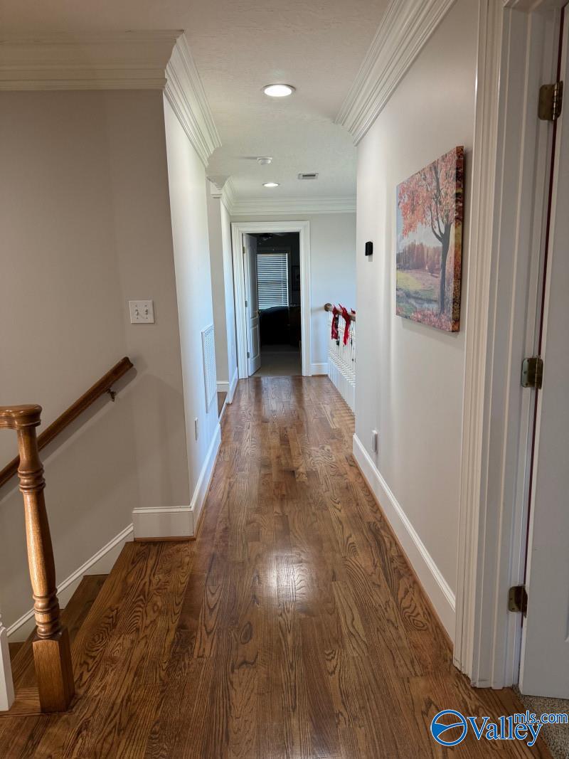 3895 County Road 1, Collinsville, Alabama image 24