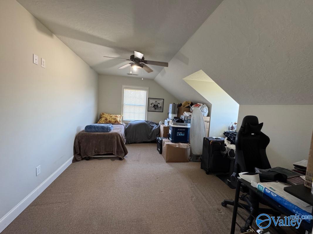 3895 County Road 1, Collinsville, Alabama image 33