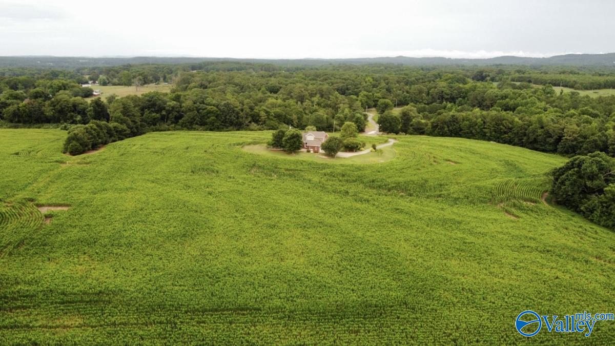 3895 County Road 1, Collinsville, Alabama image 48