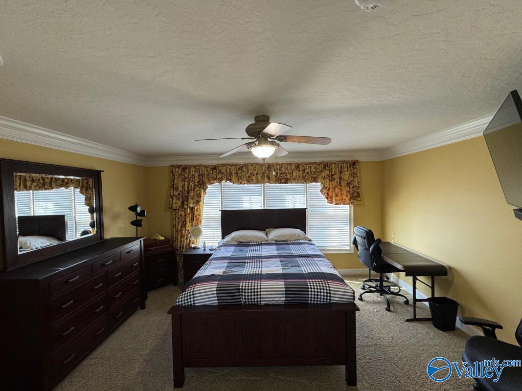 3895 County Road 1, Collinsville, Alabama image 32