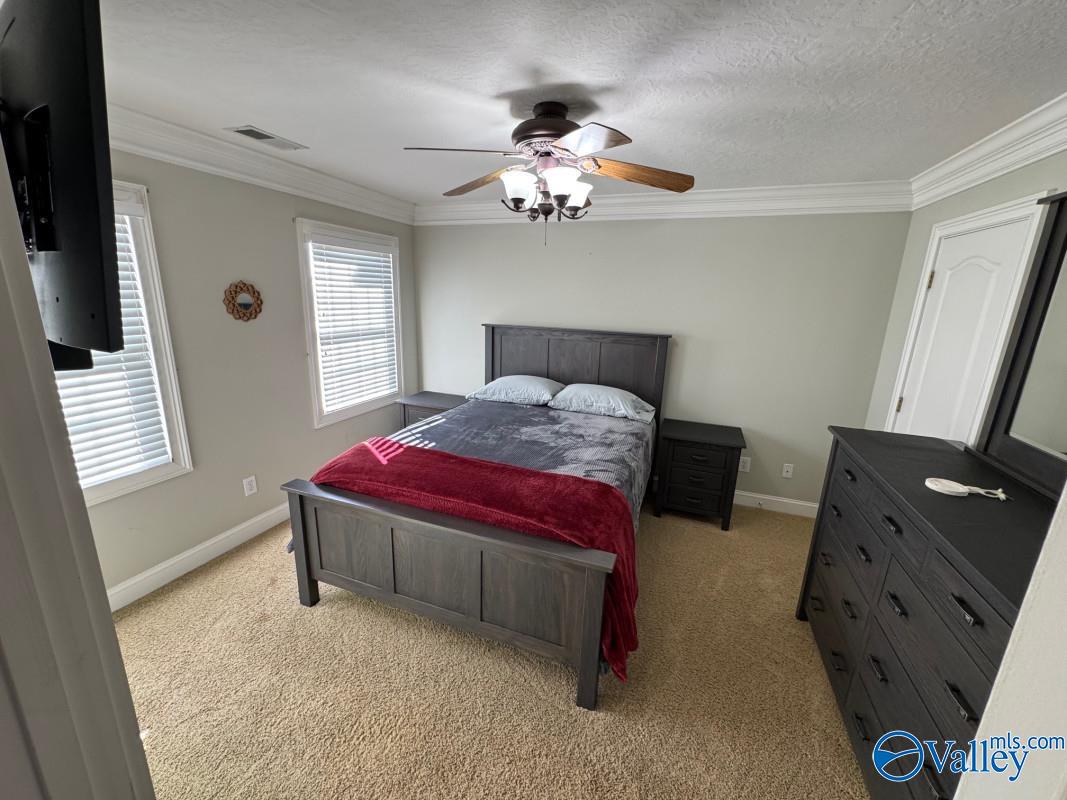 3895 County Road 1, Collinsville, Alabama image 30