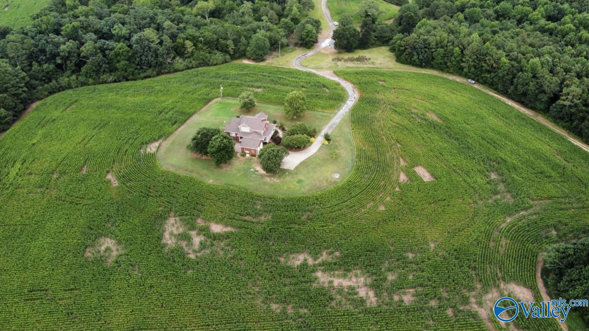 3895 County Road 1, Collinsville, Alabama image 45