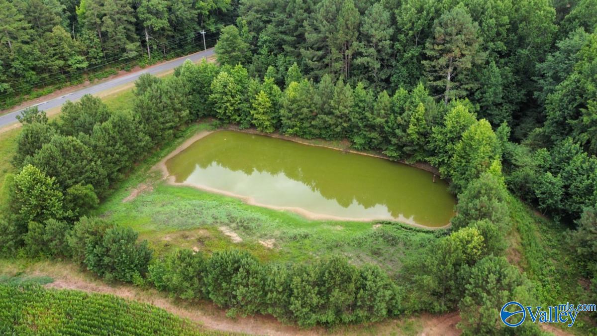 3895 County Road 1, Collinsville, Alabama image 41