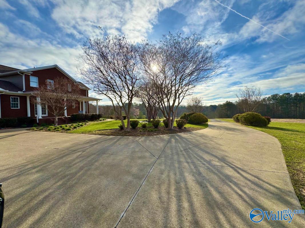 3895 County Road 1, Collinsville, Alabama image 6