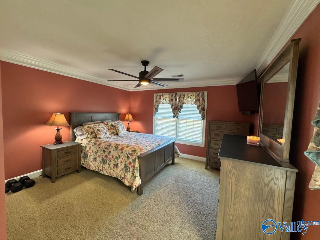 3895 County Road 1, Collinsville, Alabama image 28