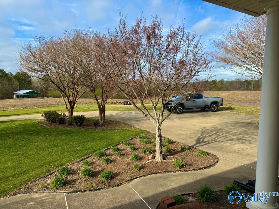 3895 County Road 1, Collinsville, Alabama image 35