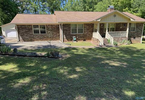 Homes For Sale - 271 Dug Hill Road<br/> Brownsboro, AL 35741