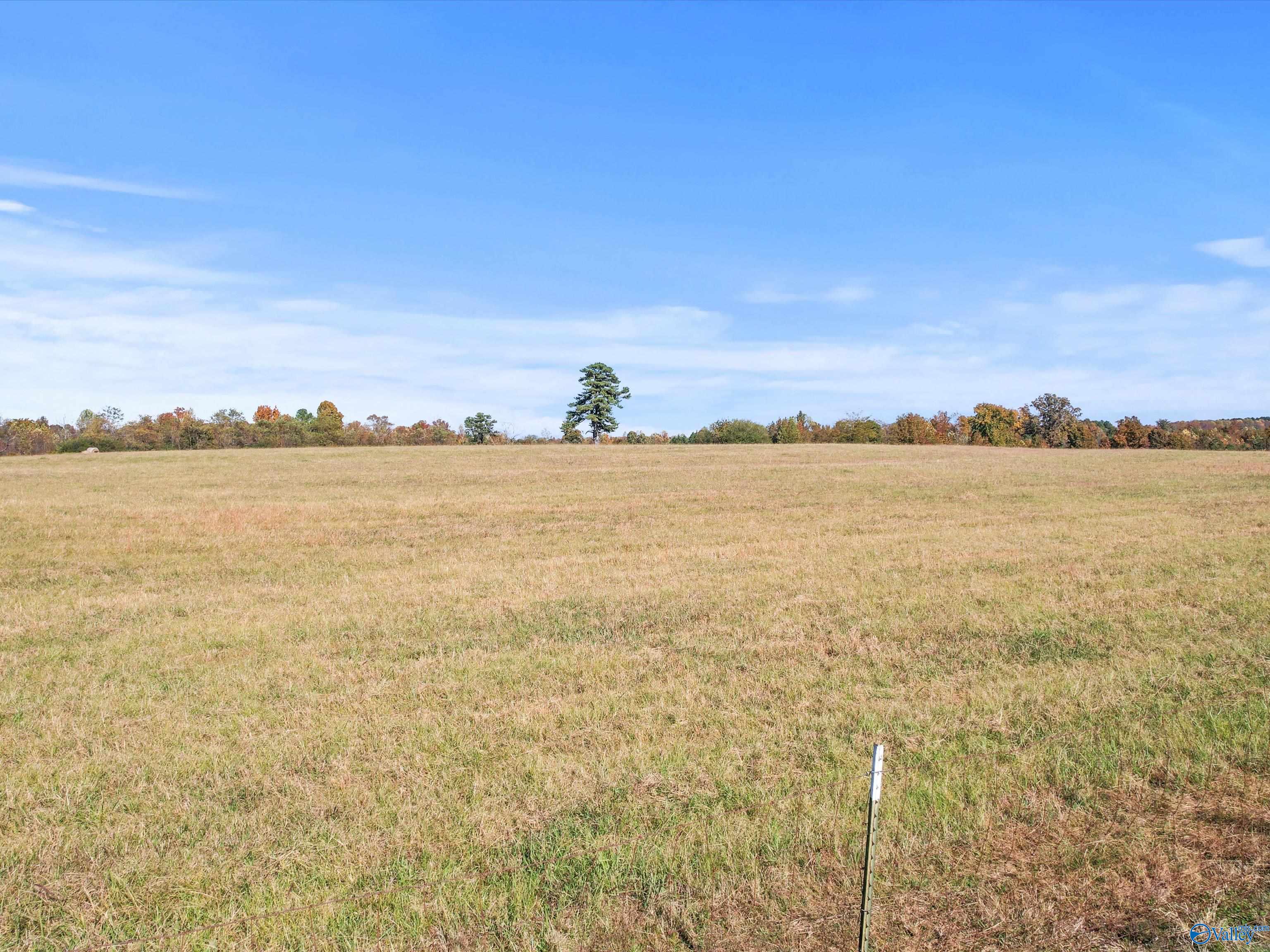 99+/- Acres Hobbs Loop Road