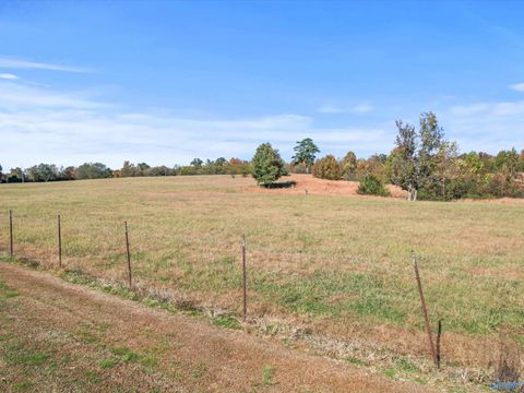 99+/- Acres Hobbs Loop Road Ardmore AL 35739